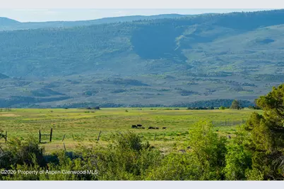 12590 Derby Mesa Loop, Burns, CO 80426 - Photo 16