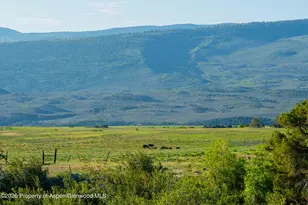 12590 Derby Mesa Loop, Burns, CO 80426 - Photo 16