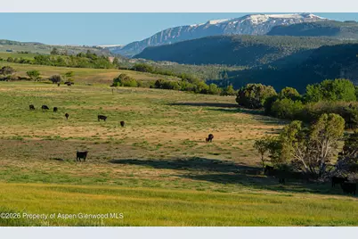 12590 Derby Mesa Loop, Burns, CO 80426 - Photo 12