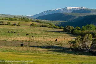 12590 Derby Mesa Loop, Burns, CO 80426 - Photo 12