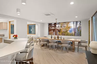 699 Eppley Drive, Aspen, CO 81611 - Photo 8
