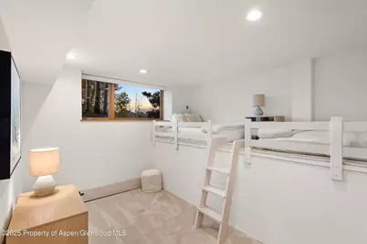 699 Eppley Drive, Aspen, CO 81611 - Photo 26