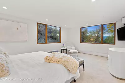 699 Eppley Drive, Aspen, CO 81611 - Photo 30