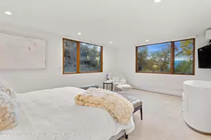 699 Eppley Dr, Aspen, CO 81611 - Photo 30