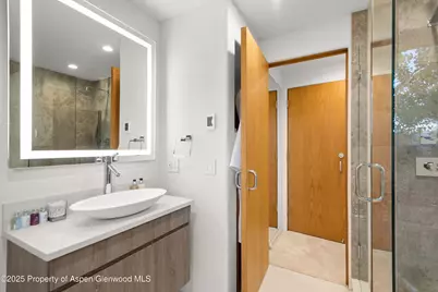 699 Eppley Drive, Aspen, CO 81611 - Photo 28