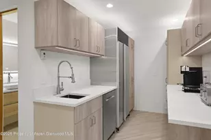 699 Eppley Dr, Aspen, CO 81611 - Photo 12