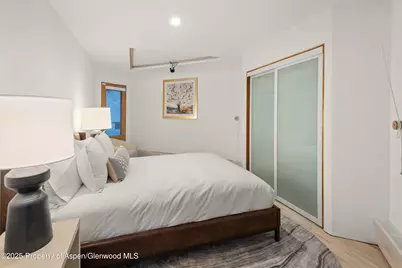 699 Eppley Drive, Aspen, CO 81611 - Photo 32