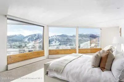 699 Eppley Drive, Aspen, CO 81611 - Photo 14