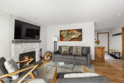 1020 E Durant Avenue #301, Aspen, CO 81611 - Photo 4