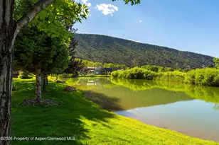 900 Bald Eagle Way, Carbondale, CO 81623 - Photo 36