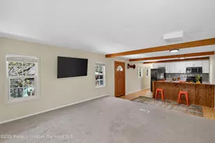 49 Grey Wolf, Aspen, CO 81611 - Photo 8
