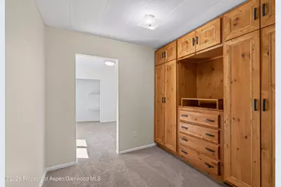 49 Grey Wolf, Aspen, CO 81611 - Photo 10