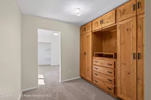49 Grey Wolf, Aspen, CO 81611 - Photo 10