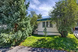 49 Grey Wolf, Aspen, CO 81611 - Photo 24