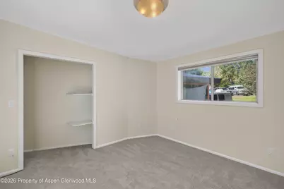 49 Grey Wolf, Aspen, CO 81611 - Photo 12