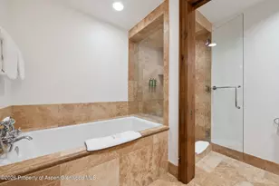 415 E Dean St Unit 12 Week 28, Aspen, CO 81611 - Photo 22