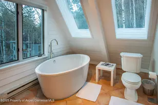 100 Mountain Laurel Ct, Aspen, CO 81611 - Photo 20