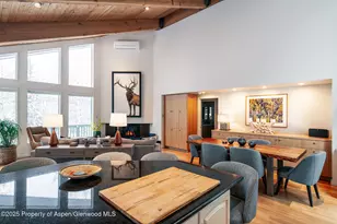 100 Mountain Laurel Ct, Aspen, CO 81611 - Photo 4