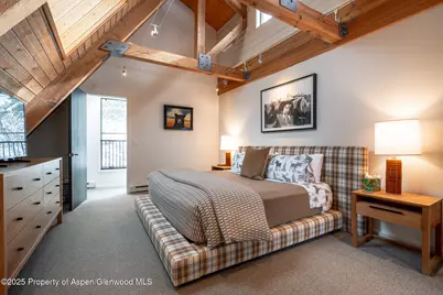 100 Mountain Laurel Court, Aspen, CO 81611 - Photo 10