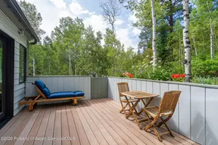 100 Mountain Laurel Ct, Aspen, CO 81611 - Photo 14