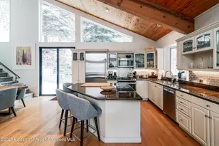 100 Mountain Laurel Ct, Aspen, CO 81611 - Photo 6
