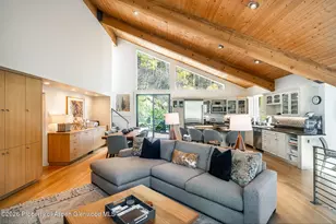 100 Mountain Laurel Ct, Aspen, CO 81611 - Photo 4