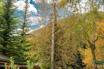 914 Waters Avenue #19, Aspen, CO 81611 - Photo 20
