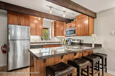 914 Waters Avenue #19, Aspen, CO 81611 - Photo 6
