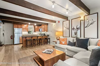 914 Waters Avenue #19, Aspen, CO 81611 - Photo 4