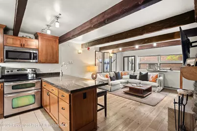 914 Waters Avenue #19, Aspen, CO 81611 - Photo 8