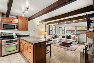 914 Waters Ave, Aspen, CO 81611 - Photo 8