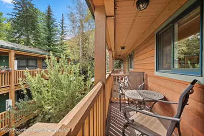914 Waters Avenue #19, Aspen, CO 81611 - Photo 14