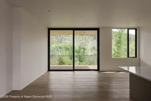 401 Carroll Dr, Aspen, CO 81611 - Photo 46
