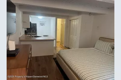914 Waters Avenue #Unit 8, Aspen, CO 81611 - Photo 2