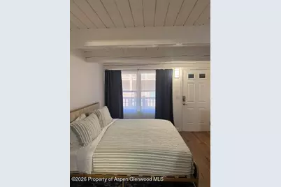 914 Waters Avenue #Unit 8, Aspen, CO 81611 - Photo 4