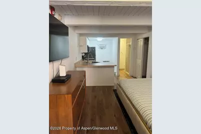 914 Waters Avenue #Unit 8, Aspen, CO 81611 - Photo 6
