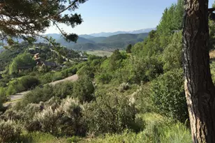19 Mule Deer Run, Snowmass, CO 81654 - Photo 28