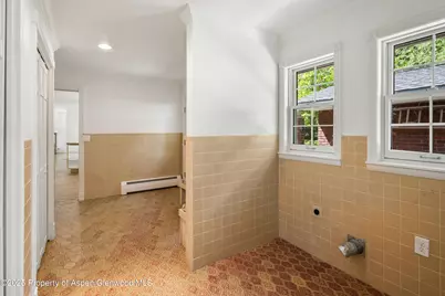 875 Bonita Drive, Aspen, CO 81611 - Photo 28
