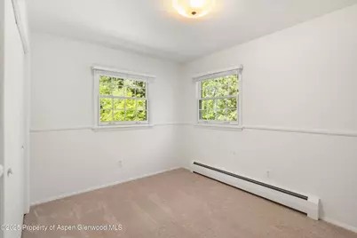 875 Bonita Drive, Aspen, CO 81611 - Photo 30