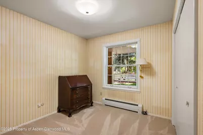 875 Bonita Drive, Aspen, CO 81611 - Photo 32