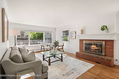 875 Bonita Drive, Aspen, CO 81611 - Photo 22