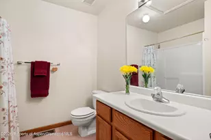 19 Eagles Nest Ct, Carbondale, CO 81623 - Photo 22