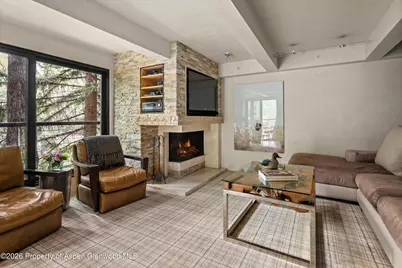 1034 E Cooper Avenue #26a, Aspen, CO 81611 - Photo 4