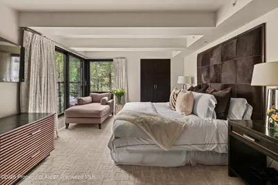 1034 E Cooper Avenue #26a, Aspen, CO 81611 - Photo 16