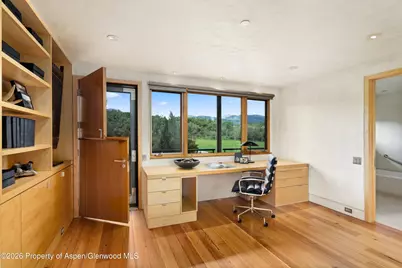 700 Nell Erickson Road, Aspen, CO 81611 - Photo 12
