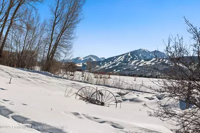 260 Star Mesa Road, Aspen, CO 81611 - Photo 30