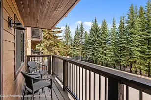 650 S Monarch St, Aspen, CO 81611 - Photo 8