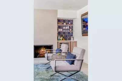 1020 E Durant Avenue #101, Aspen, CO 81611 - Photo 2