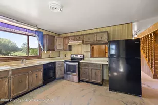 298 Rose Ln, Carbondale, CO 81623 - Photo 12