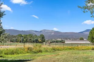 298 Rose Ln, Carbondale, CO 81623 - Photo 6